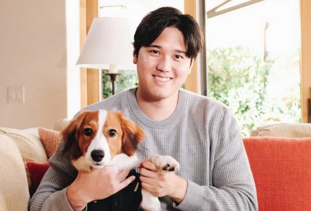 大谷翔平との愛犬のデコピン