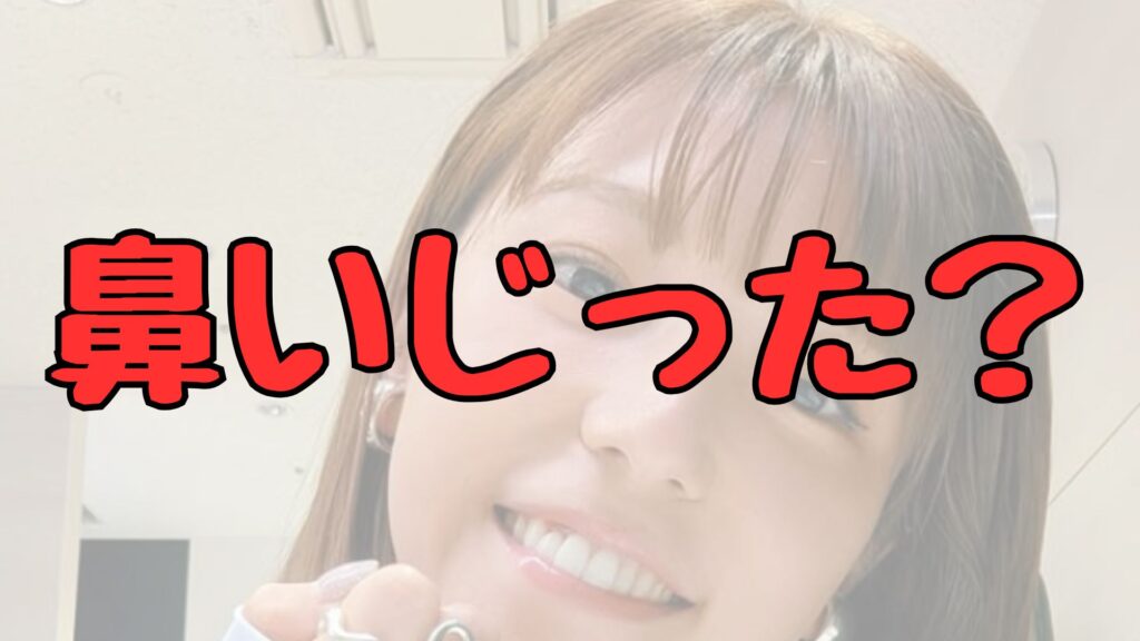 若槻千夏鼻筋記事トップ画像