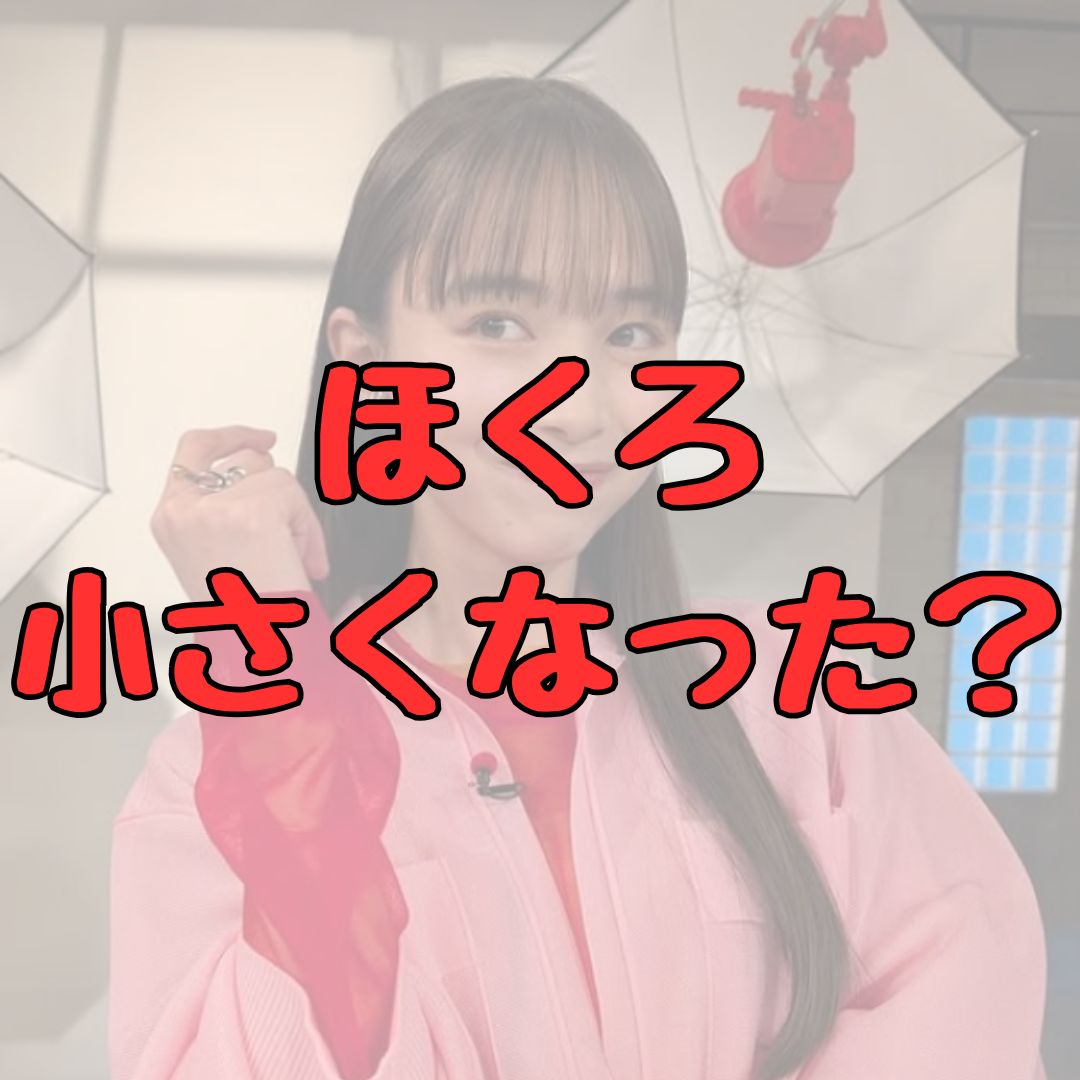 井桁弘恵ほくろとった・小さくなった記事アイキャッチ画像