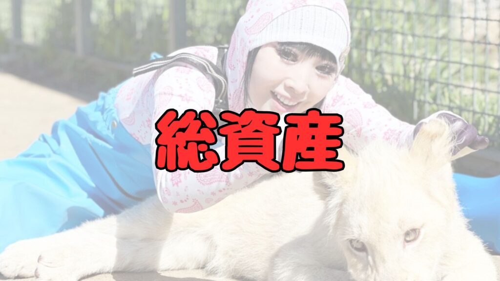 プリンセス天功の総資産記事トップ画像