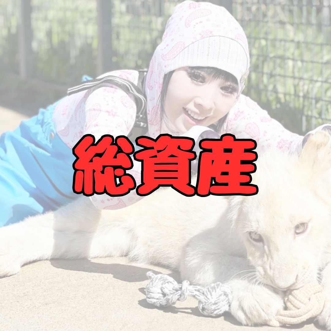プリンセス天功の総資産記事アイキャッチ画像